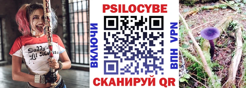 Псилоцибиновые грибы GOLDEN TEACHER Тара