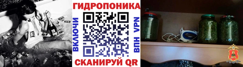 darknet формула  где купить наркоту  Тара  Конопля гибрид 